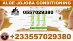 Price of Forever Aloe Jojoba Conditioning in Ghana