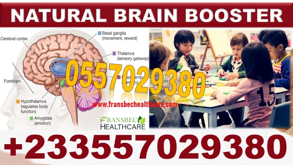 Best Memory Loss Natural Treatment in Ghana